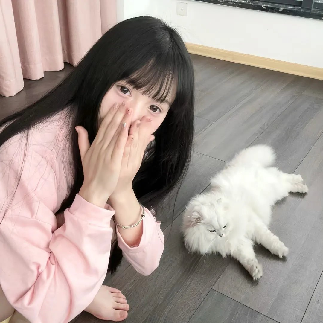 梅兰菊竹